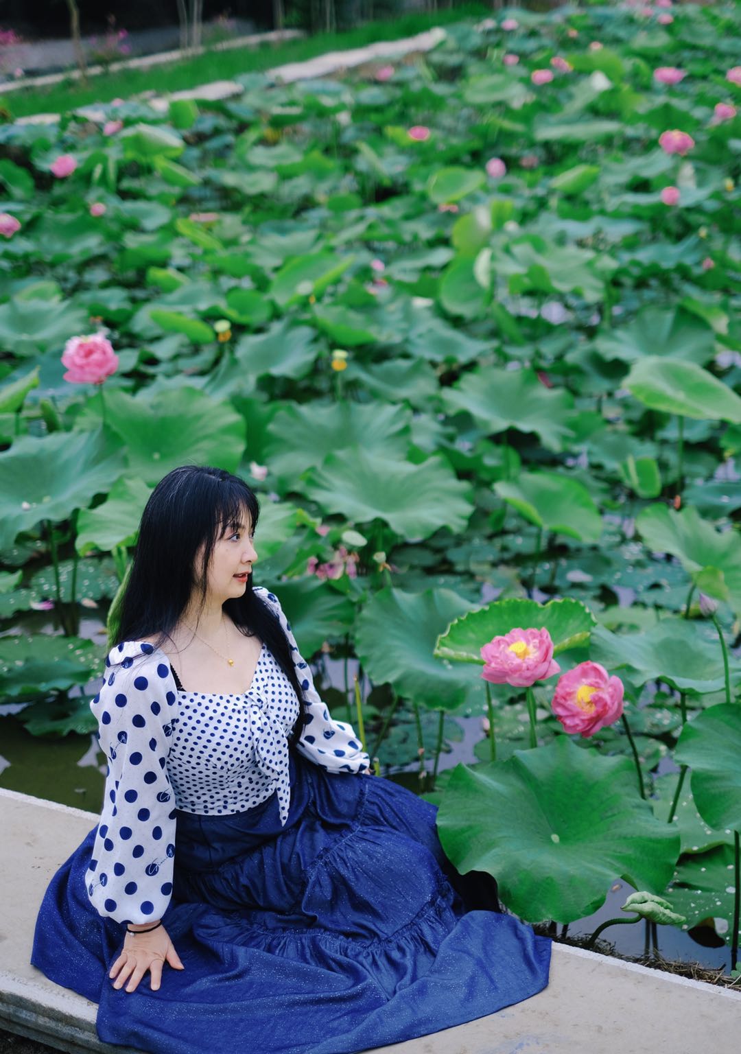 b164231a60444cd00735f1b01914fdf.jpg