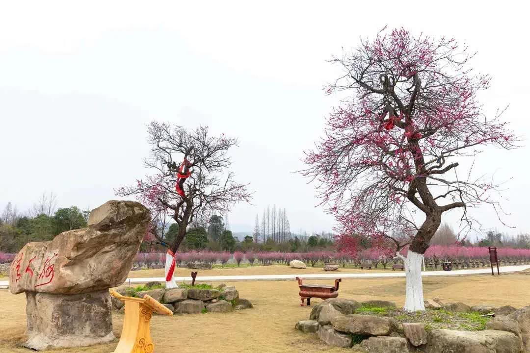 微信图片_20210216100416.jpg