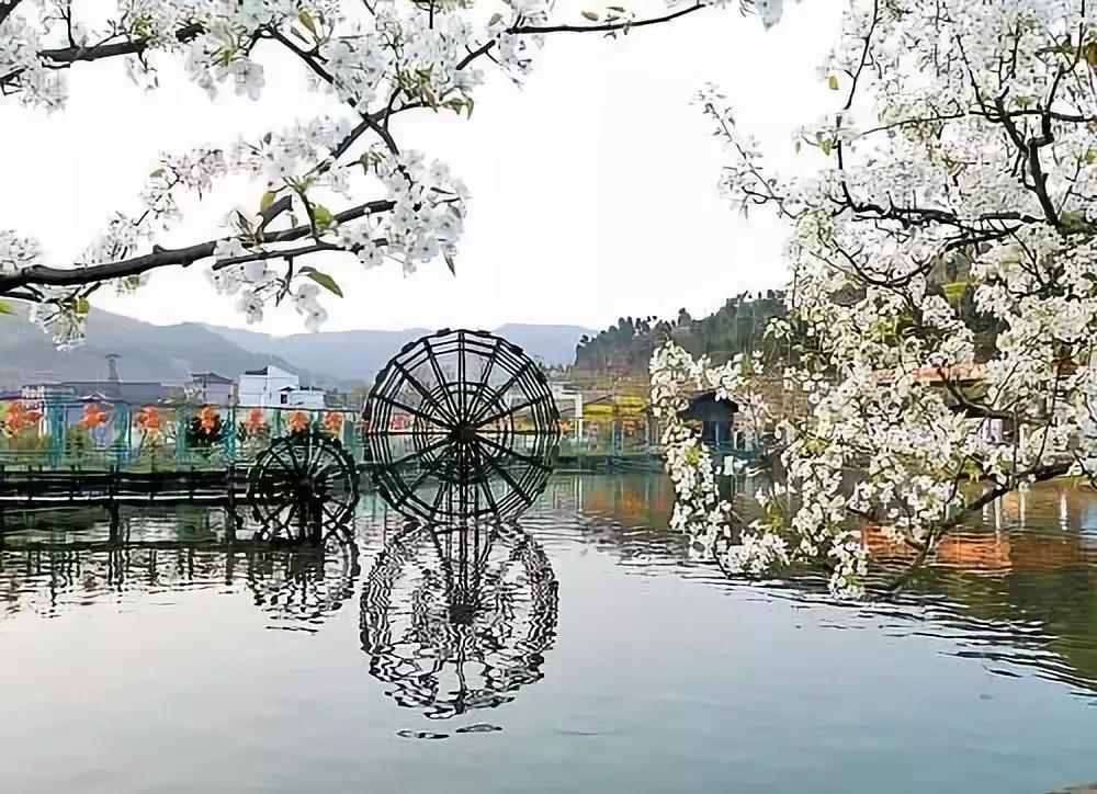 【简阳梨花溪】春色明媚,落英缤纷,梨花如海-lu趣户外_摄影旅拍团建定