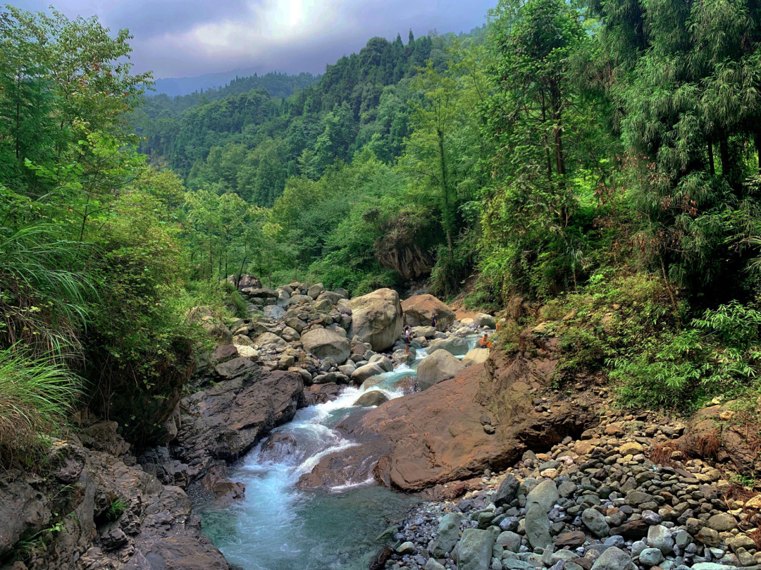 广东佛山旁的原始森林边有两条清澈的小溪，是踏青和玩水的好地方_双龙