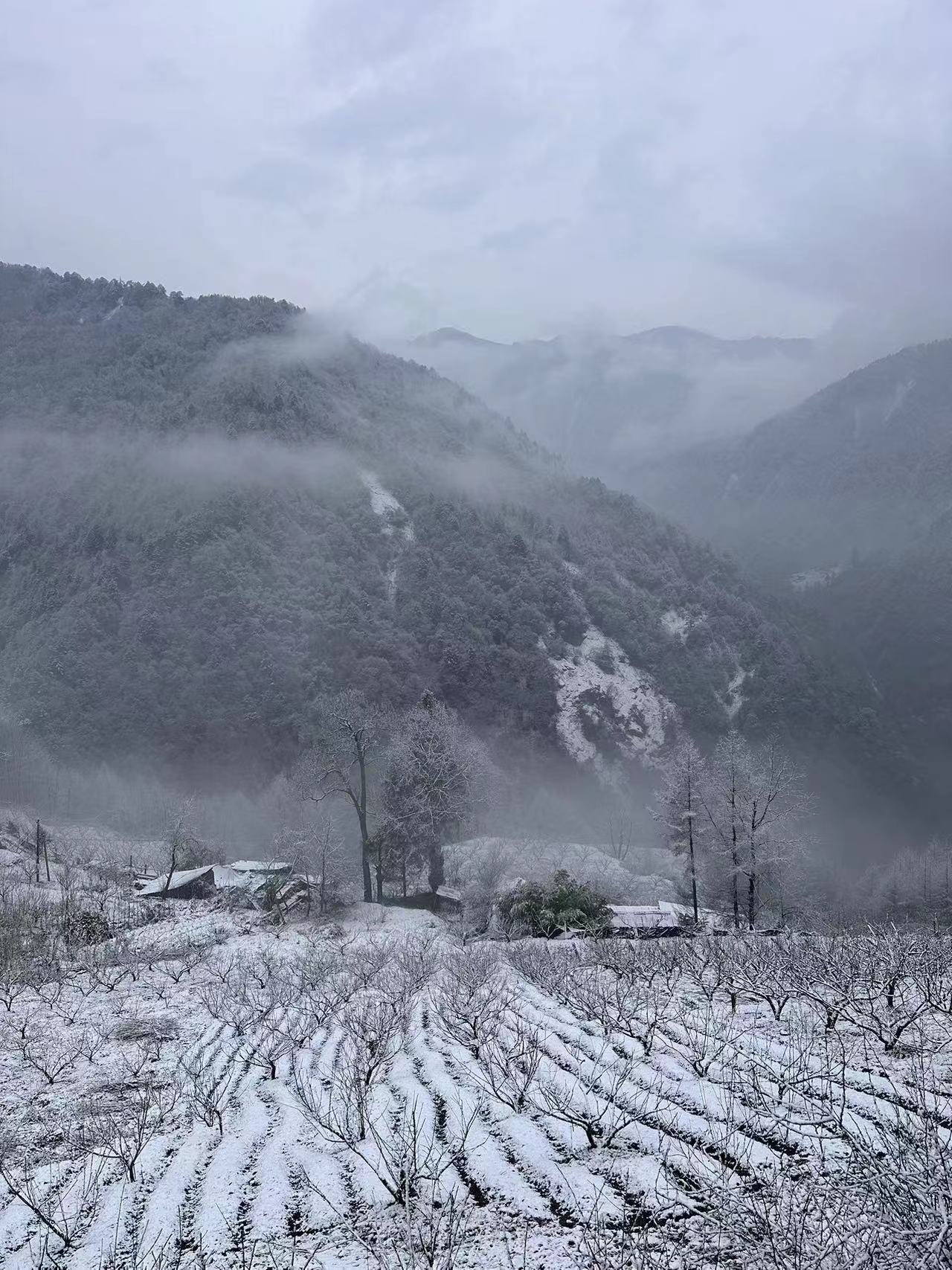 微信图片_20240119111214.jpg