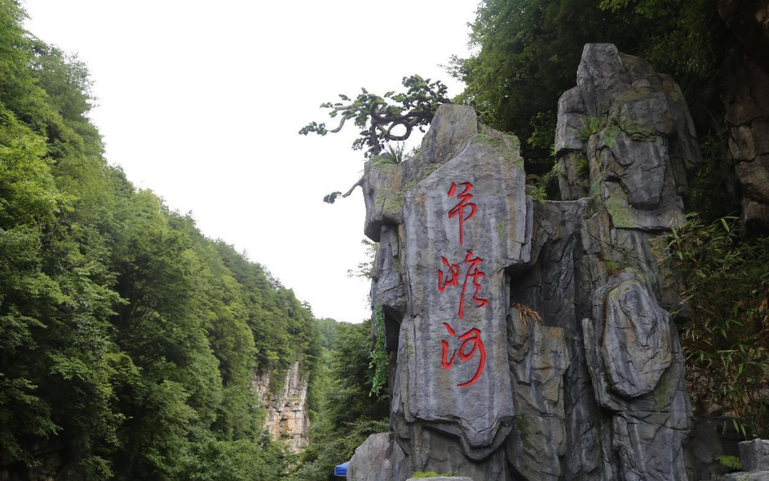 微信图片_2025-10-09_105144_216.png