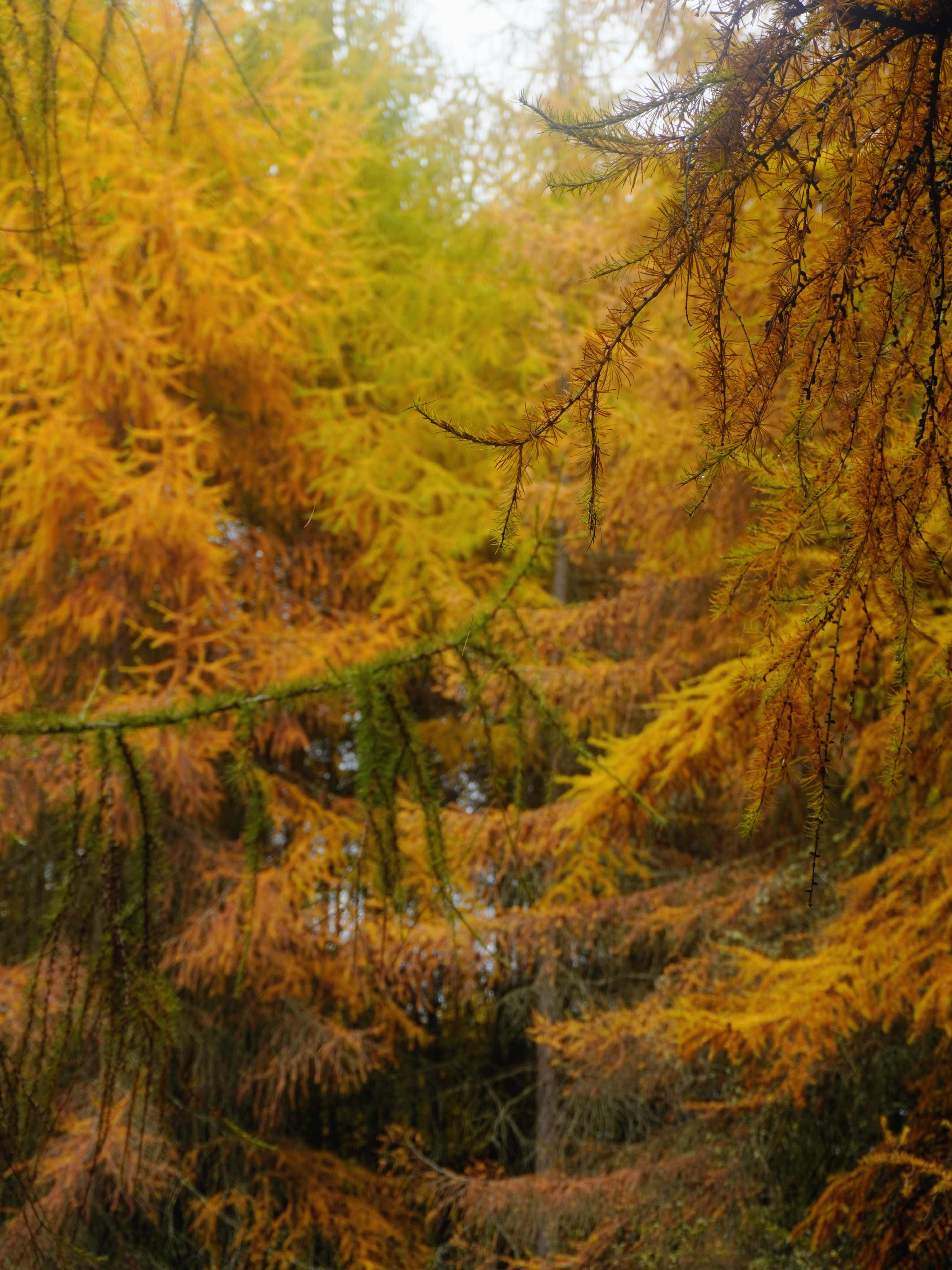 1762139005334707.jpg 微信图片_20251103110030.jpg