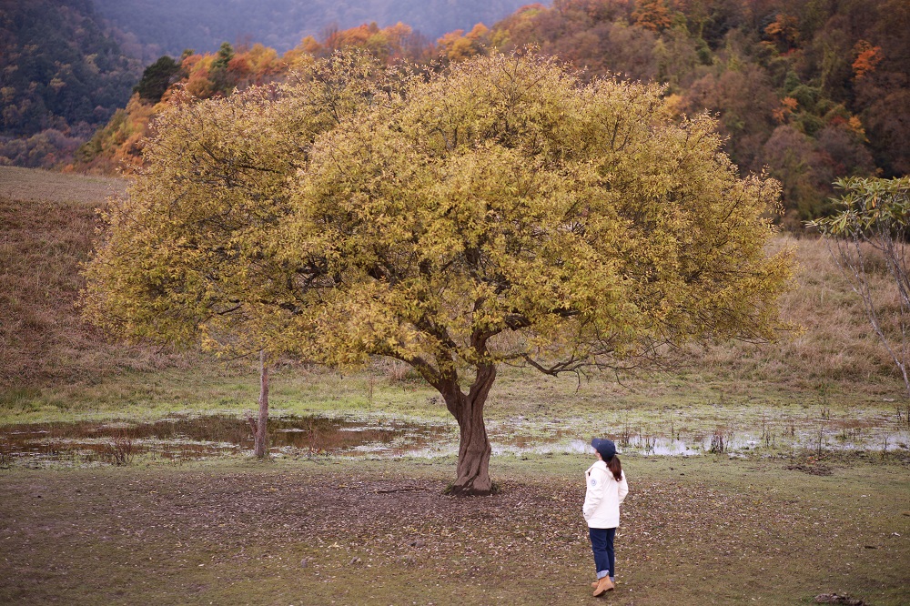 1762330847369665.jpg aacbfa73e8cfe94d1a9dda2e198a1c5.jpg