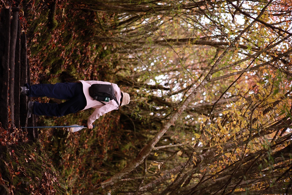 1762330857448923.jpg 3893206f785c0c804e736016d6c50c1.jpg