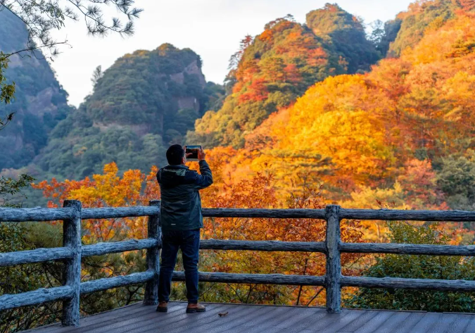 1762412839364049.png image.png