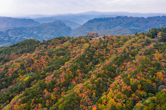 1762412874715862.png image.png