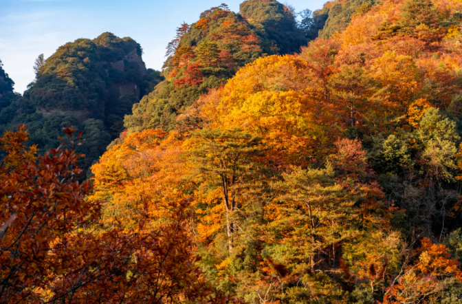 1762412908713455.png image.png