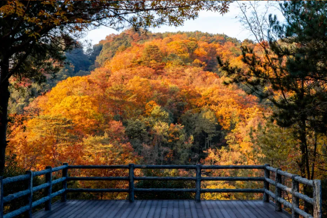 1762412916772649.png image.png