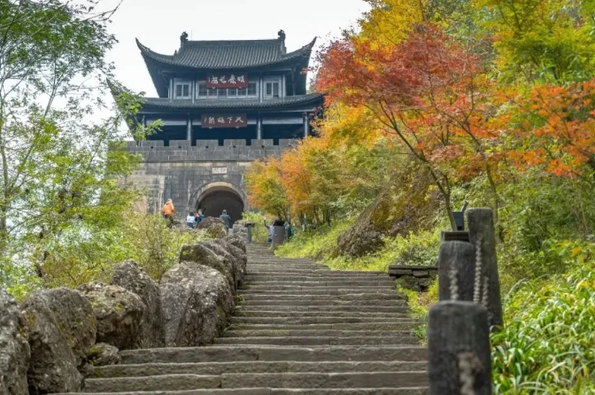 1762412926421658.png image.png