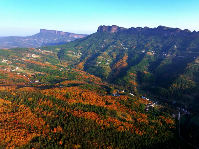 1762412957599439.png image.png