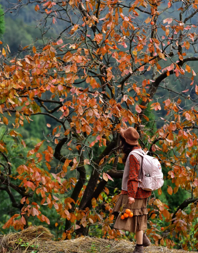 1762413447306098.png image.png