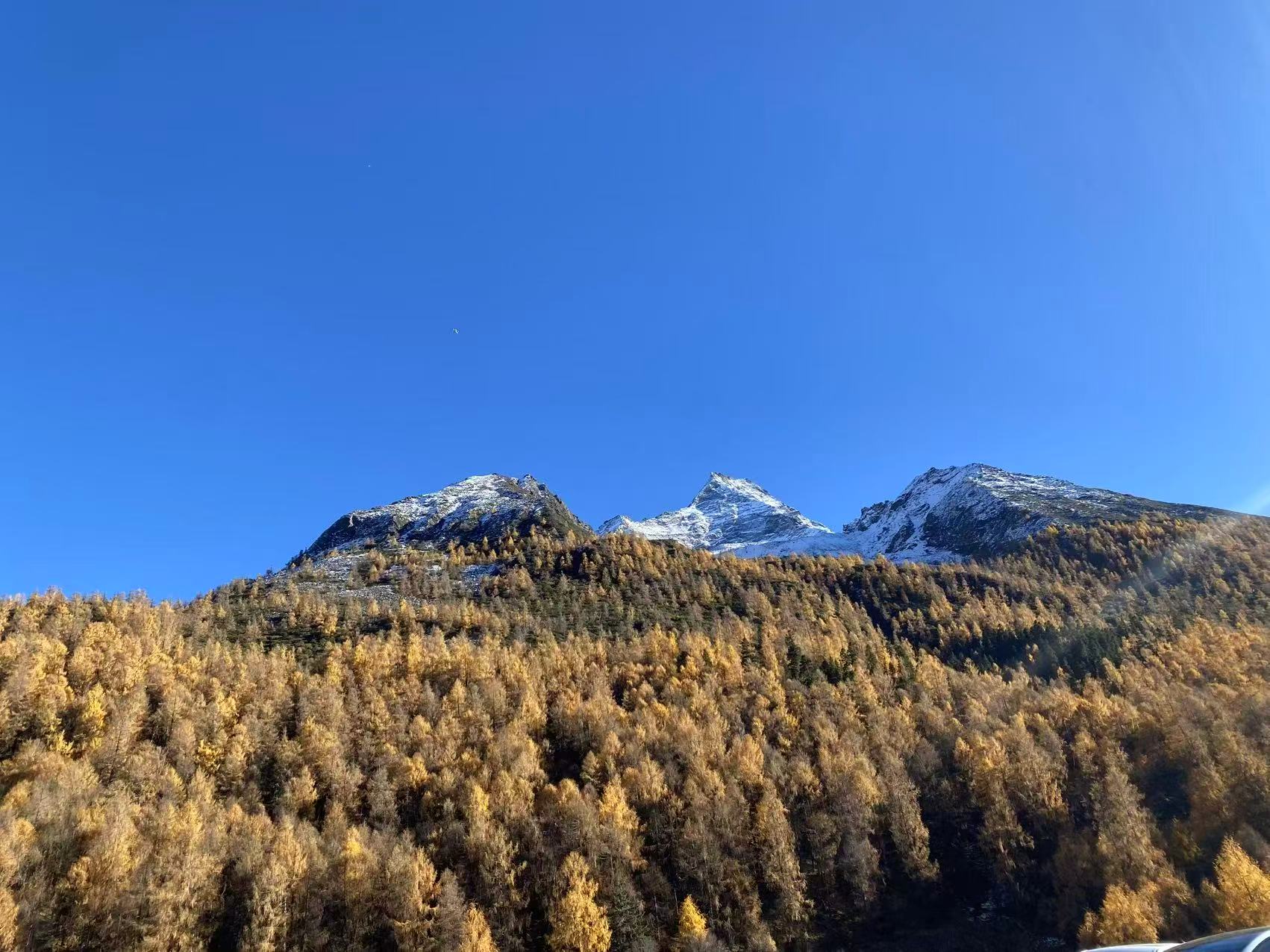 1762657744356402.jpg 微信图片_20251109110806.jpg