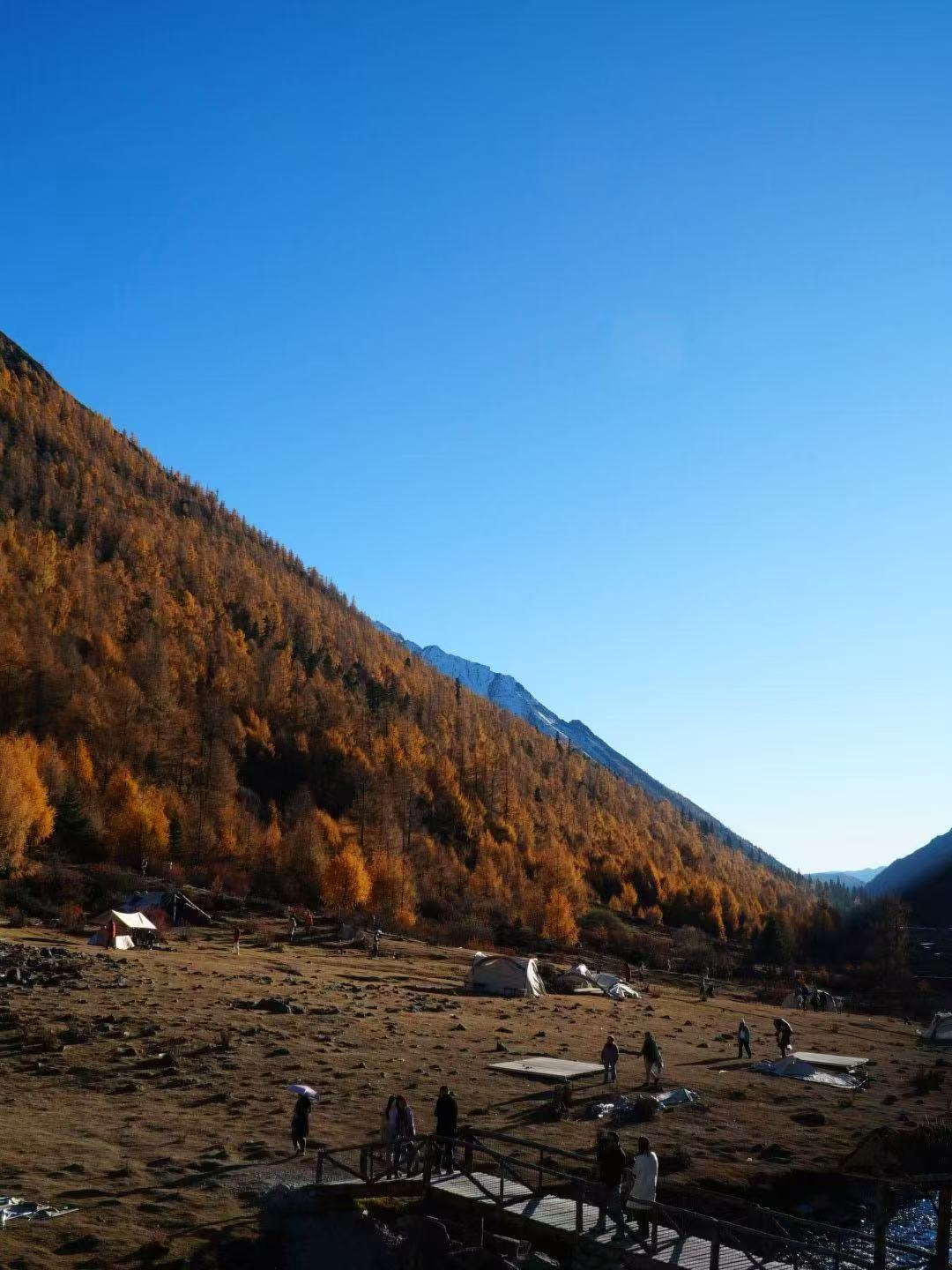 1762657750890728.jpg 微信图片_20251109110809.jpg