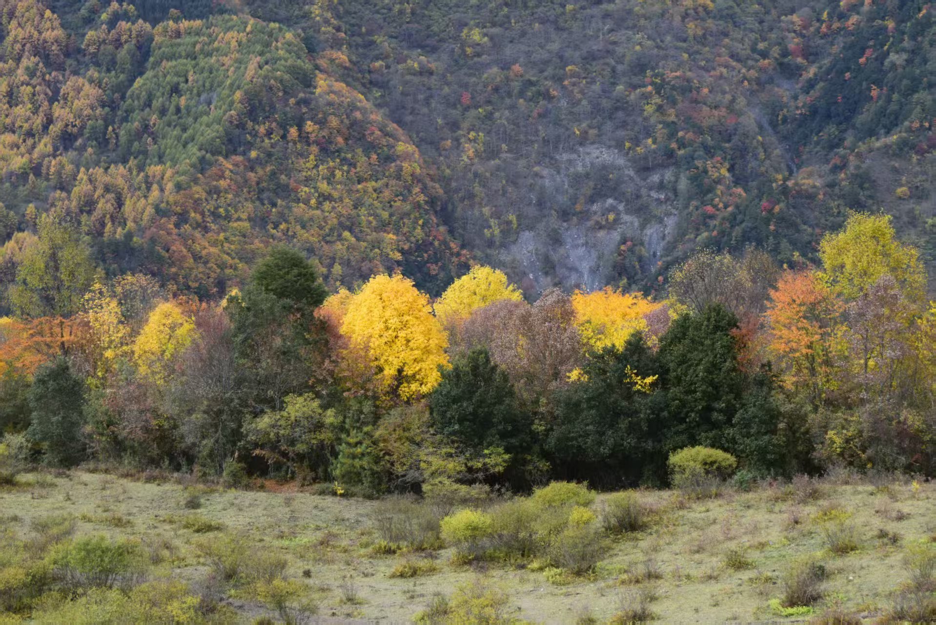 1762658819525661.jpg 微信图片_20251109112618.jpg