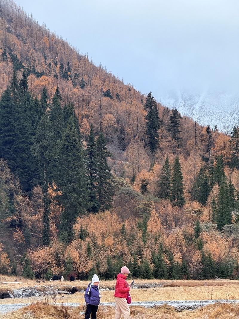 1762999776463043.jpg d12845274d7180893c24d0708a26bf2.jpg