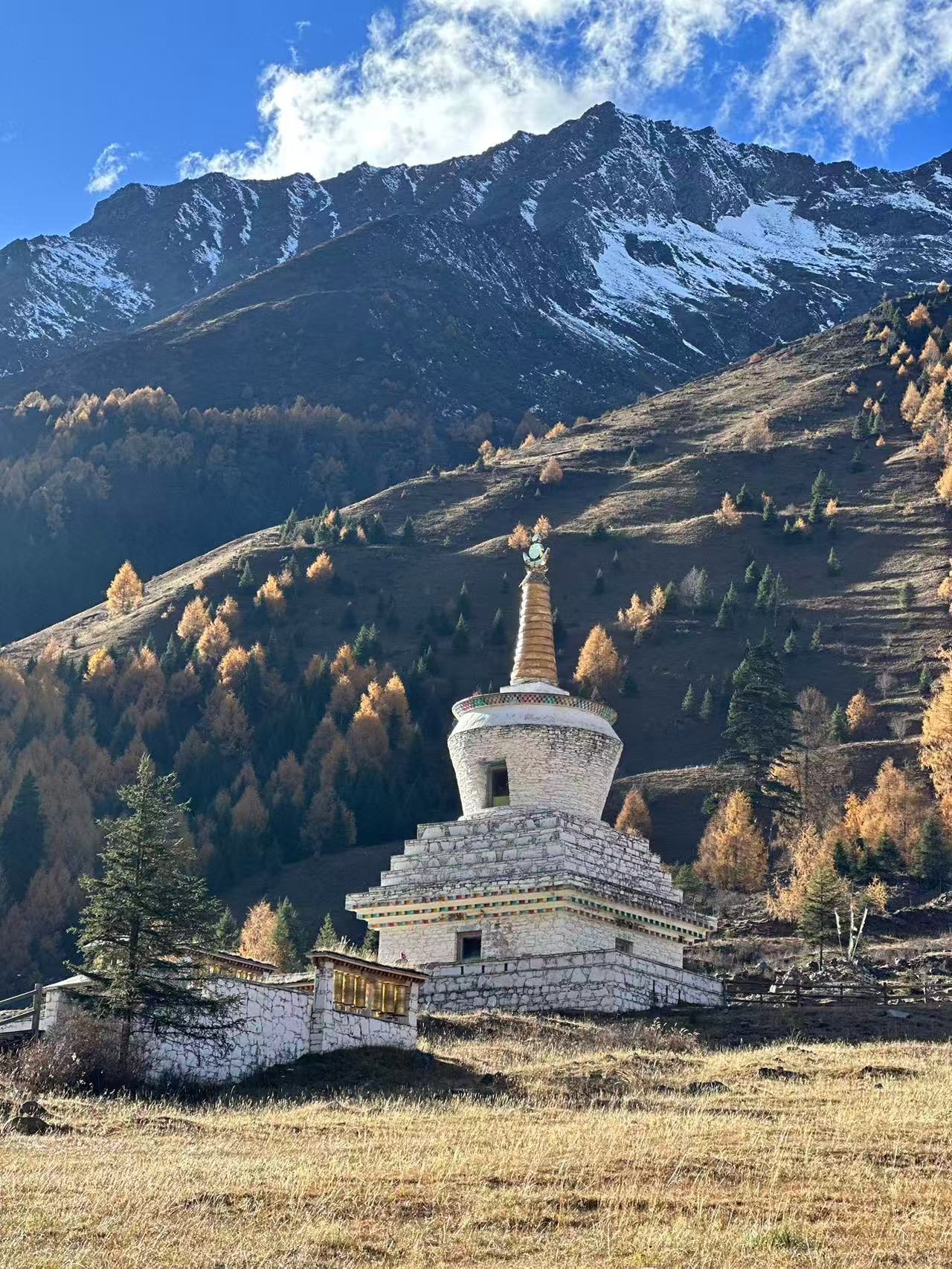 1763015768357584.jpg 52bb78dc92e63142fb06d068f7b23bb.jpg