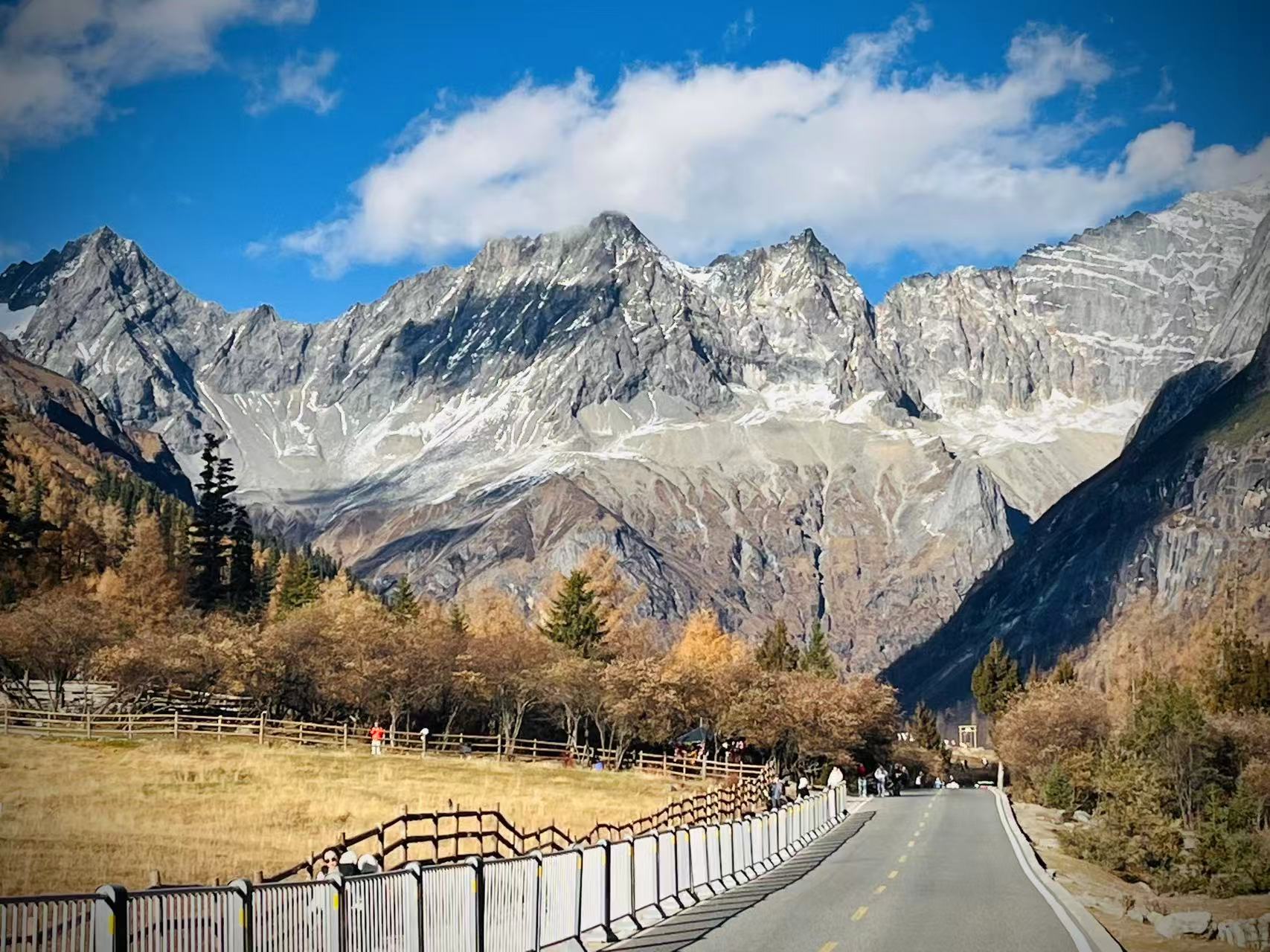 1763015777350342.jpg 85f5055e1c4c5ca1be672018cba77b3.jpg