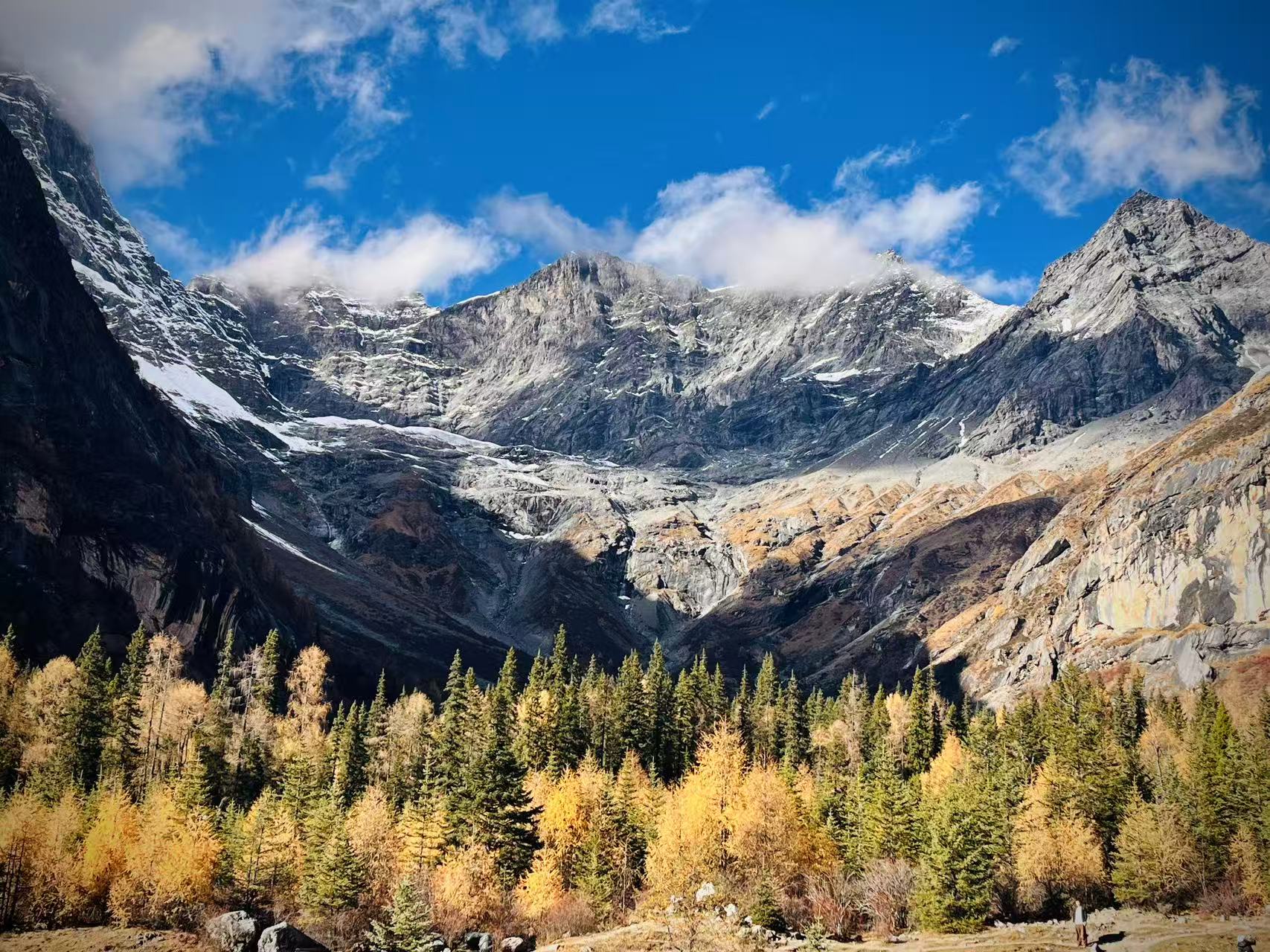 1763015785330839.jpg 0d991e5ad465610579a0f3b66a8e2f2.jpg