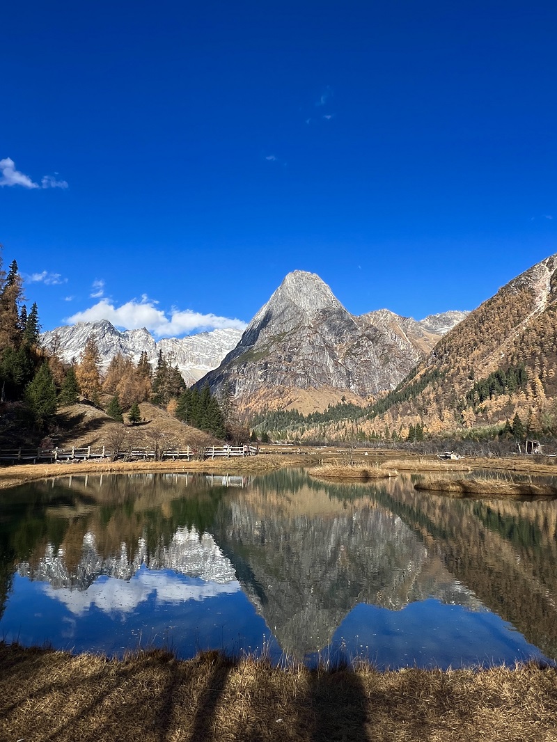 1763027809602906.jpg a1e033785ed3a88d9d6a665c1baf14a.jpg