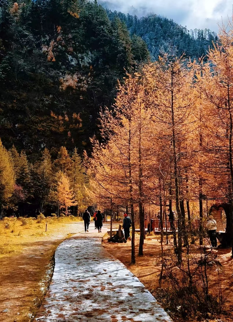 1763430468468316.jpg ff976e439b850d3114acecaf186e90b.jpg