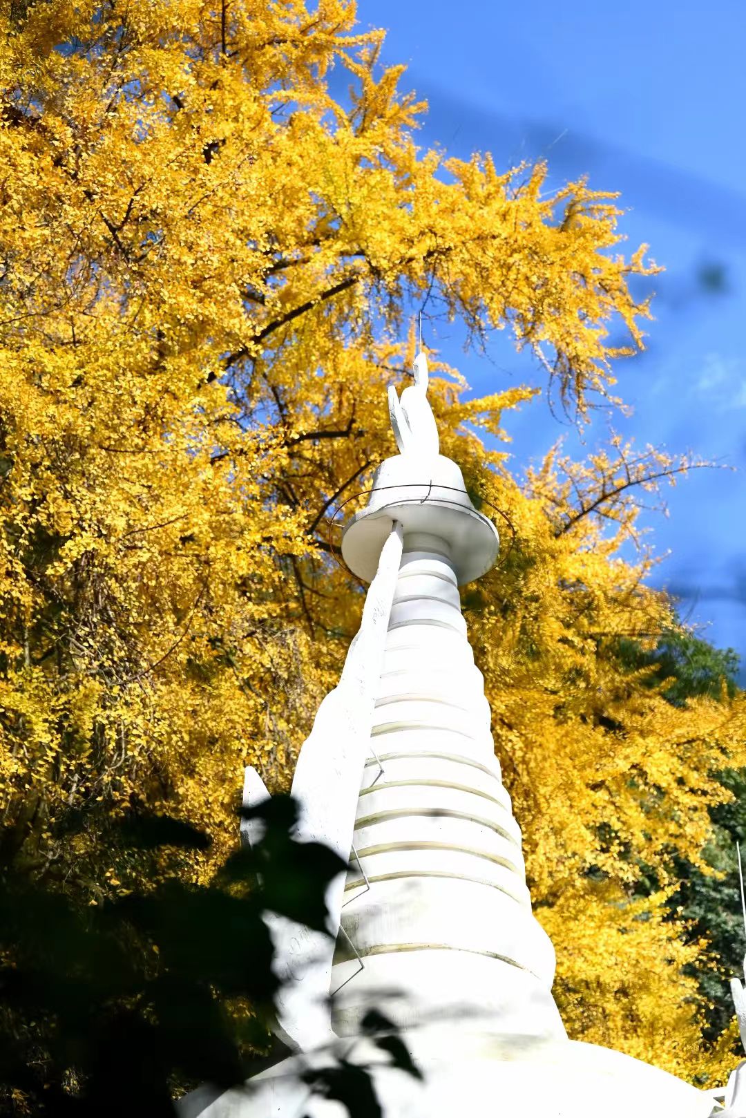 1763516274226154.jpg 48e0f7d82a4526e8cf510e94178ec21.jpg