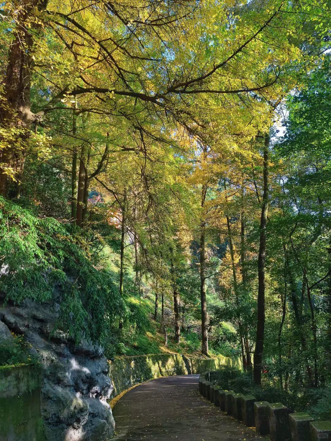 1763516304967679.jpg 1763516293222510.jpg