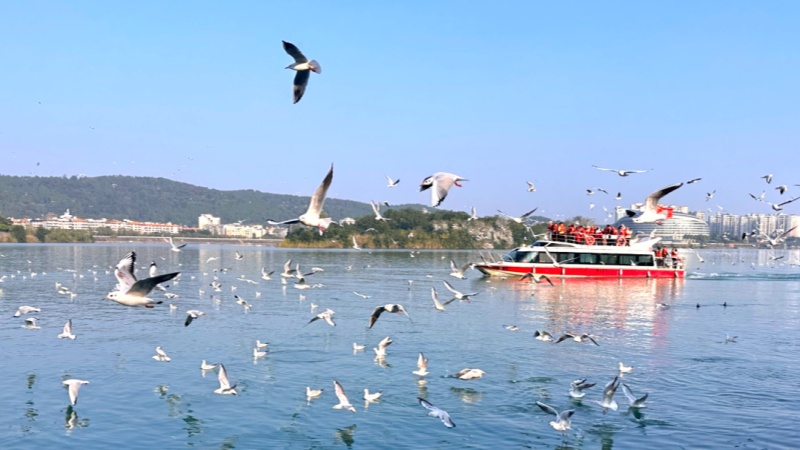 1765181410653676.jpg 1764825474881678.jpg