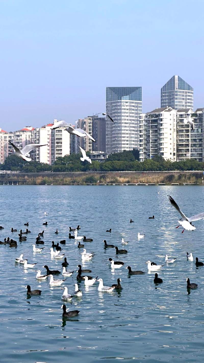 1765181418741454.jpg 1764825499113603.jpg