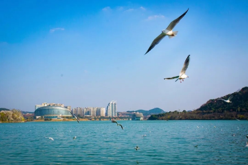 1765181442850412.jpg 1764825531101752.jpg