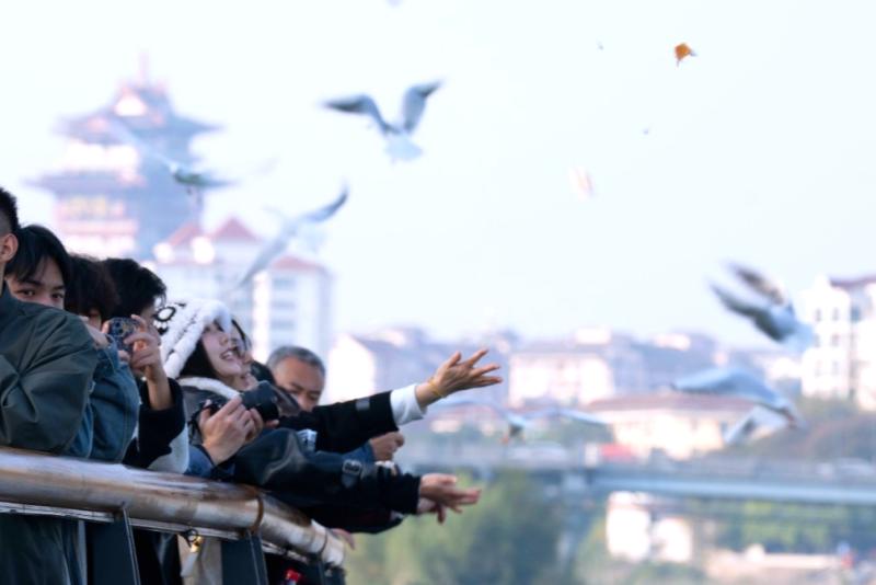 1765181479941565.jpg 1764825636121788.jpg