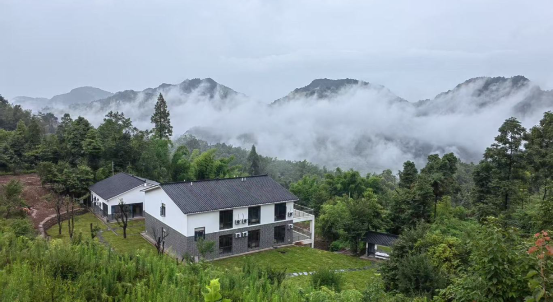 1765505909851221.jpg 6.jpg