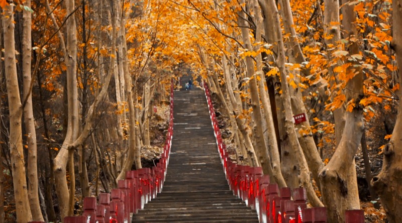 1765591447873465.jpg 1765332752207628.jpg