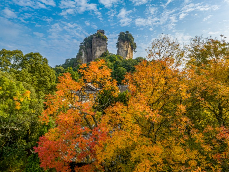 1765591463672589.jpg 1765332724349805.jpg