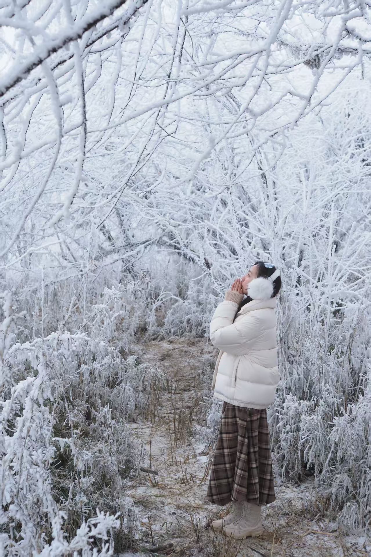 1767492953136760.jpg ca8f9a4e83e80dd7f473fddf3dda15b.jpg