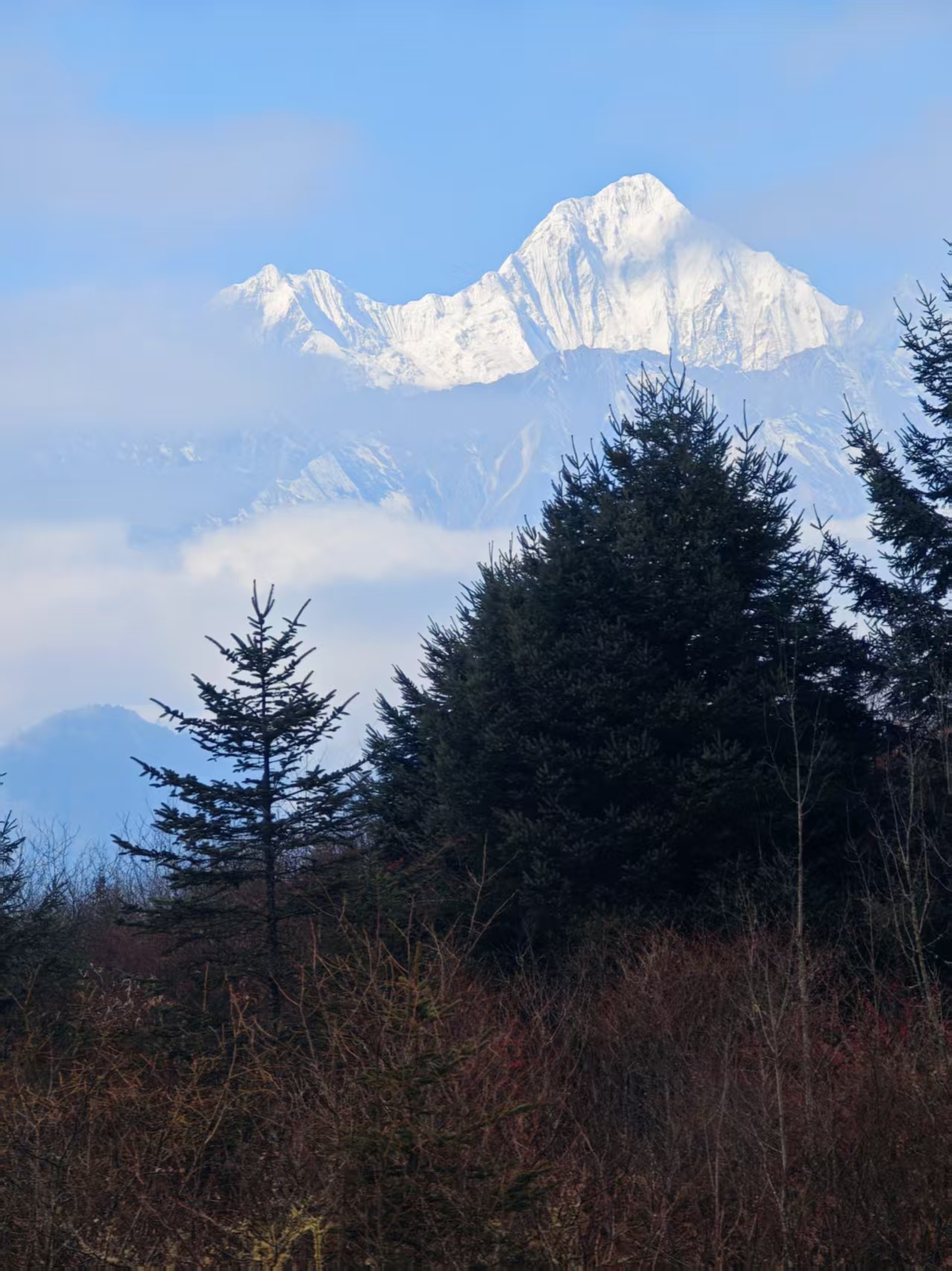 1767493016638547.jpg 1765769325160669.jpg