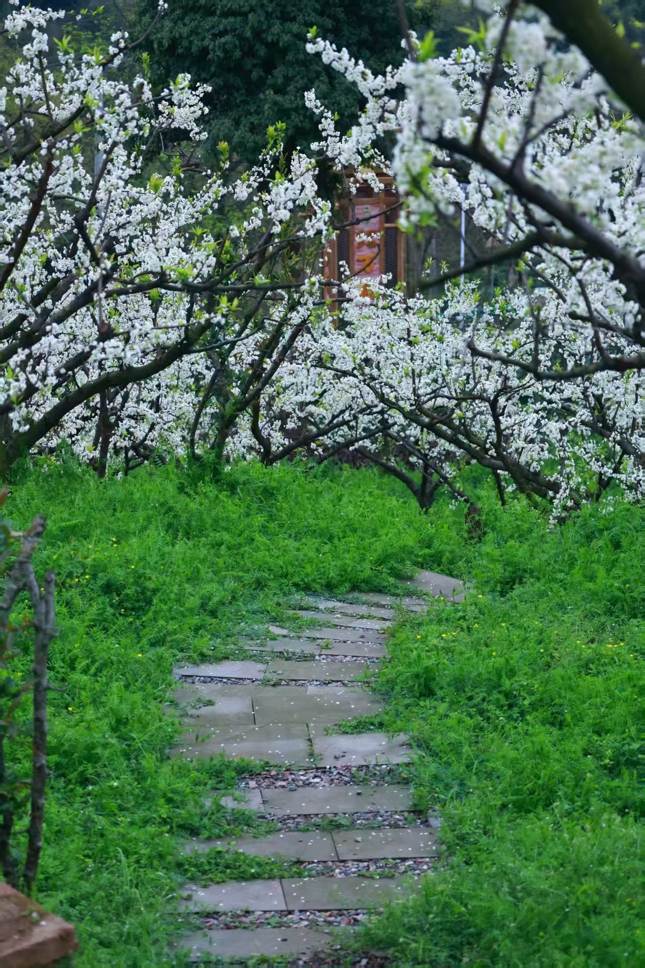 1773019777729392.jpg 微信图片_20260309092750.jpg