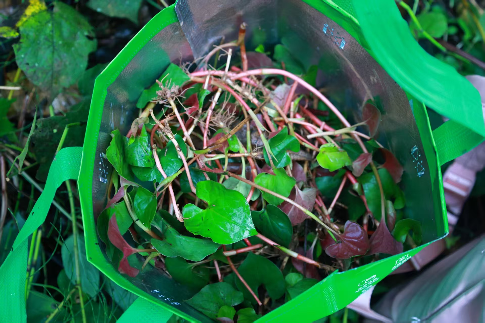 1773019783353888.jpg 微信图片_20260309092804.jpg