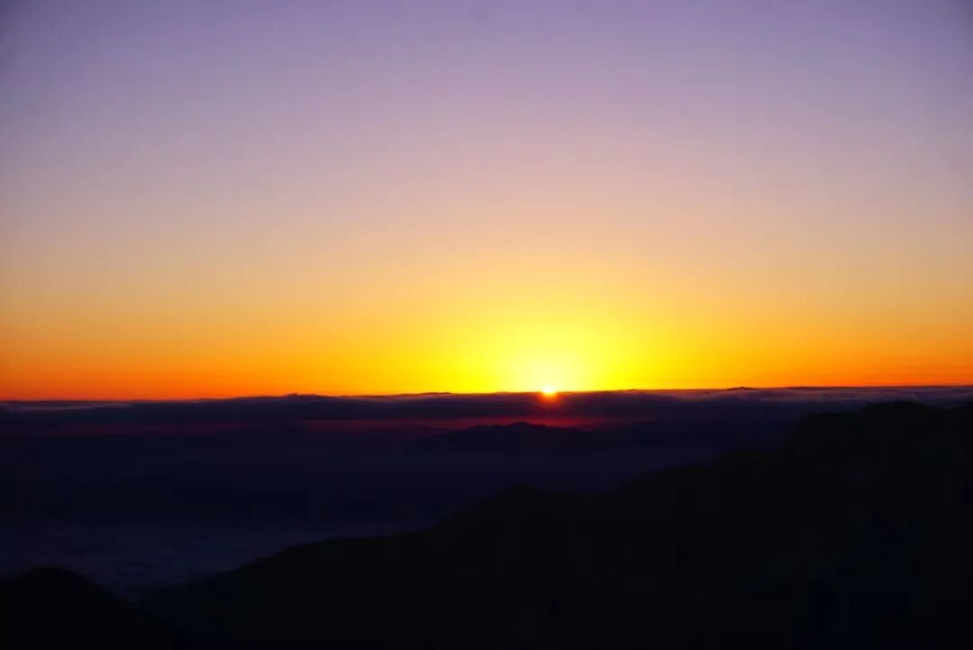 1773294510140917.jpg 640 (14).jpg