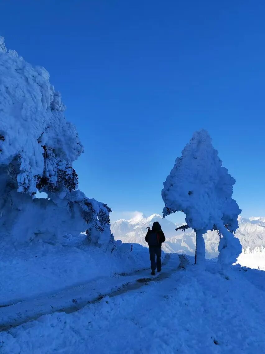 1773294529896147.jpg 640 (11).jpg