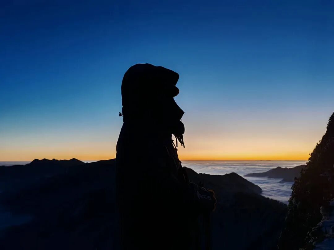 1773294536258288.jpg 640 (10).jpg