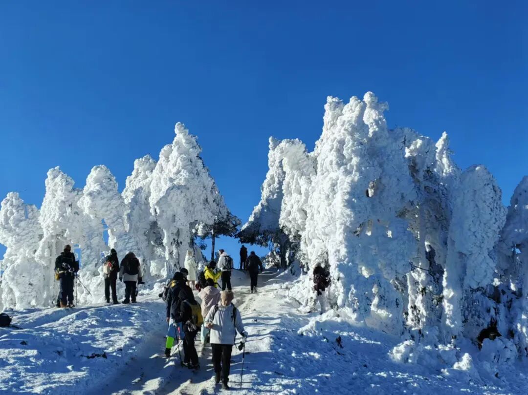 1773294548755125.jpg 640 (8).jpg