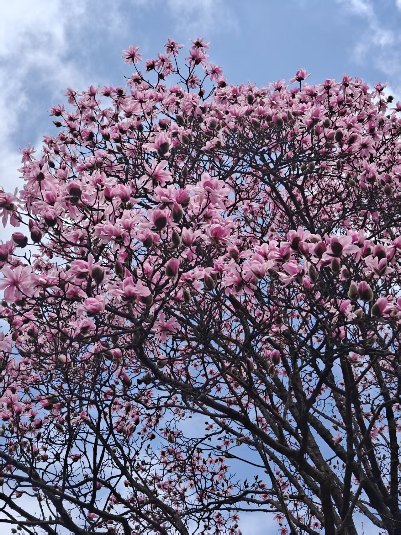 微信图片_20260407161218.jpg