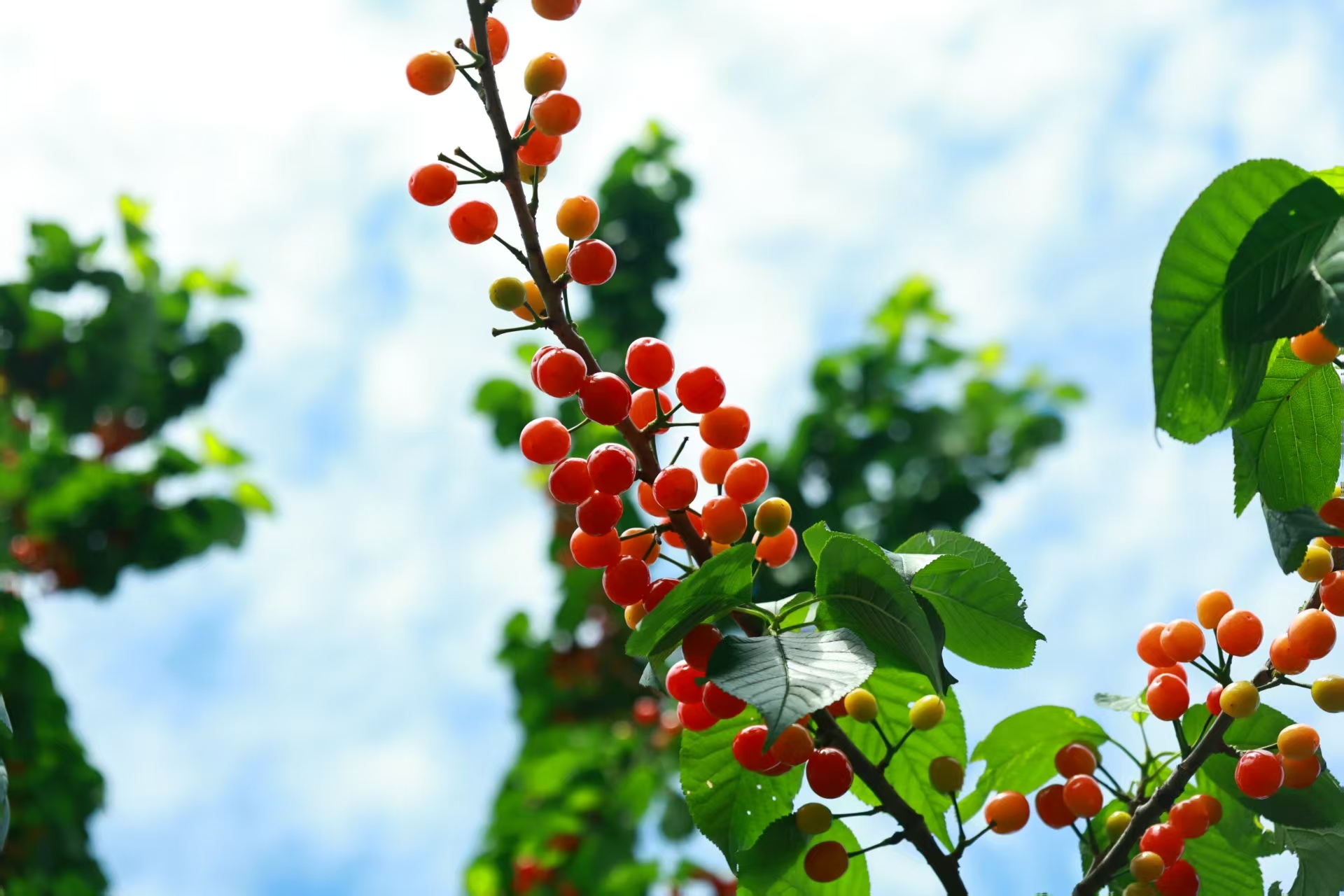 1775885604636213.jpg 微信图片_20260411133237.jpg