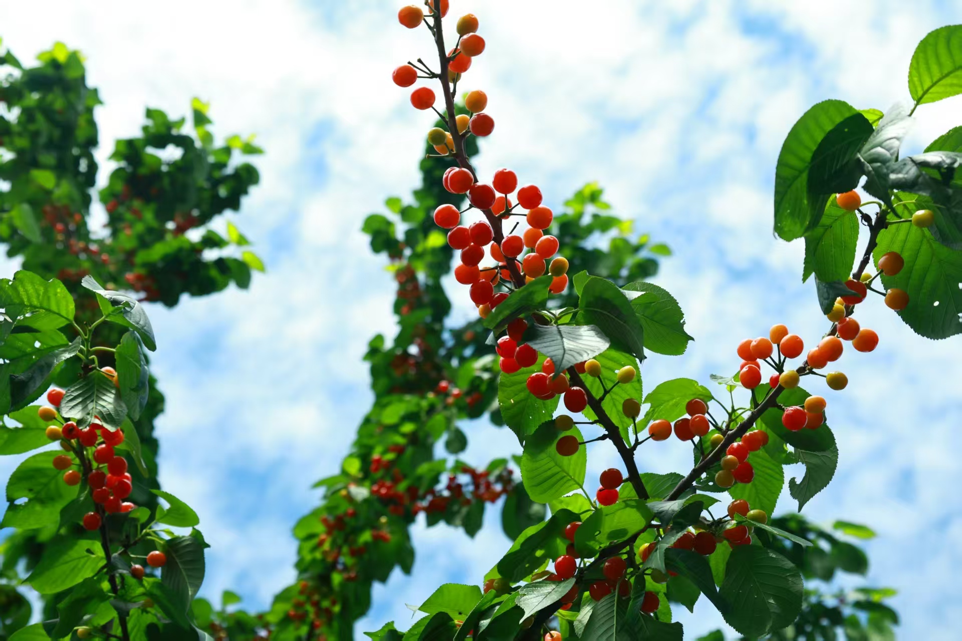 1775885607681888.jpg 微信图片_20260411133228.jpg