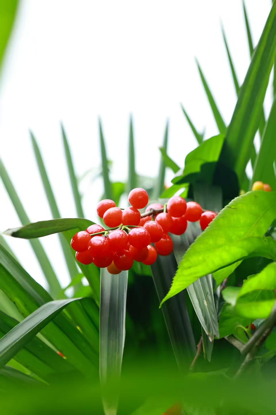 1775885609186592.jpg 微信图片_20260411133234.jpg