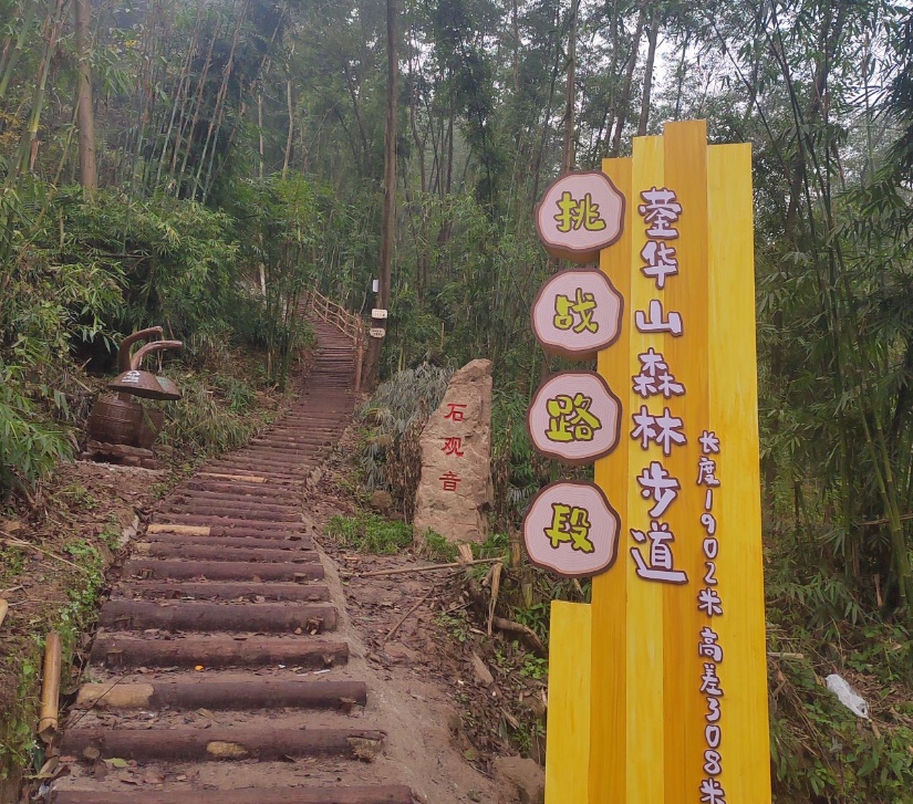 1775963022697109.jpg 6.jpg