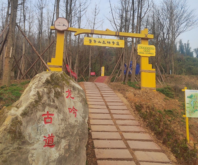 1775963028154785.jpg 3.jpg