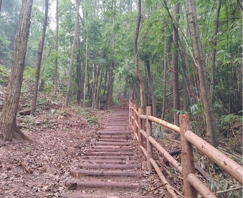 1775963066557291.jpg 7.jpg