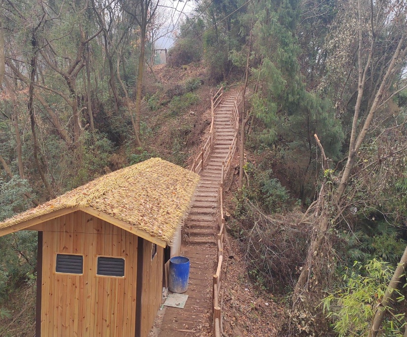 1775963090923219.jpg 8.jpg